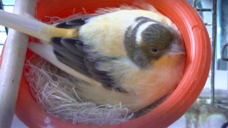 mama jenny,gedaan met bezoek uurtje 